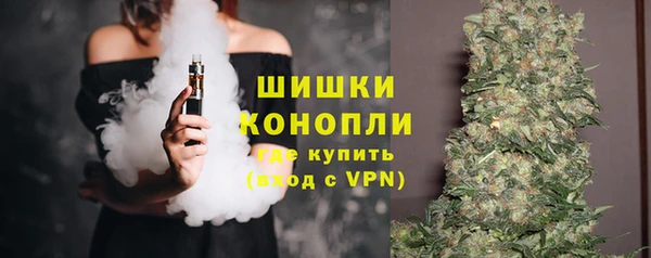 крисы Наволоки