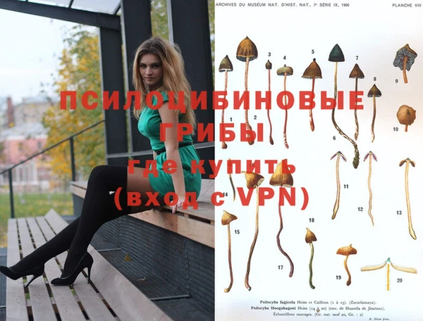 крисы Наволоки