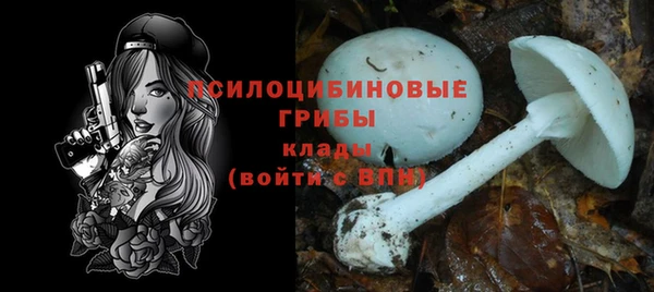 крисы Наволоки